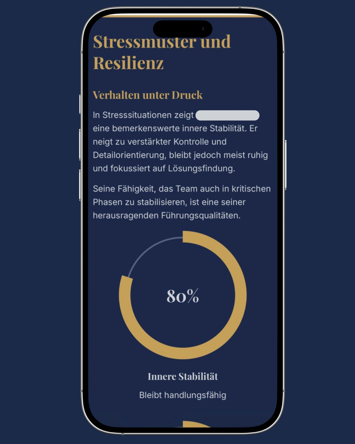 Stressmuster und Resilienz